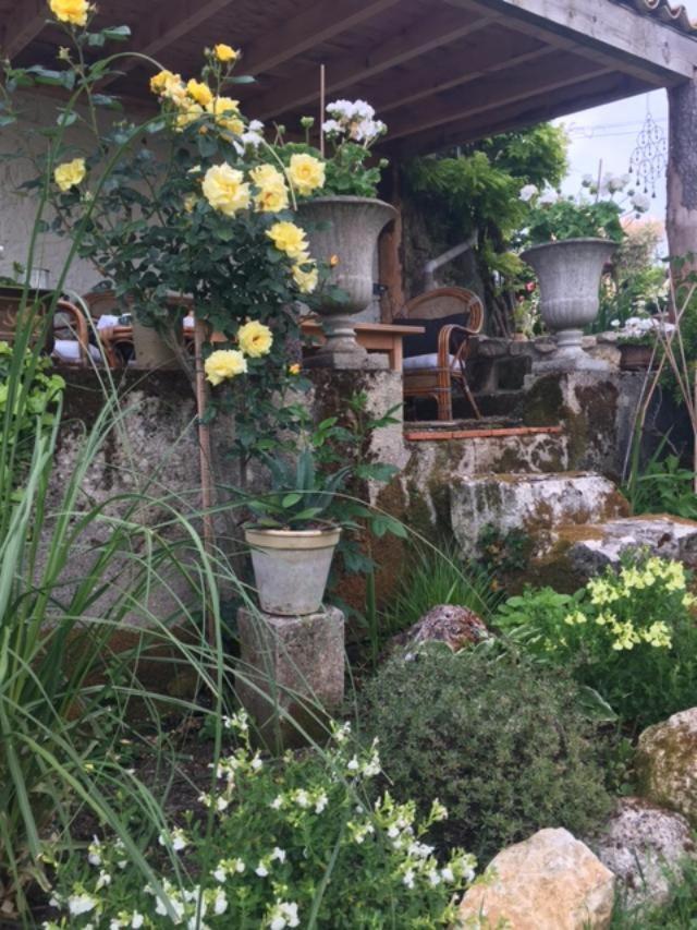 Chez Brown Bed & Breakfast Saint-Thomas-de-Conac Ngoại thất bức ảnh
