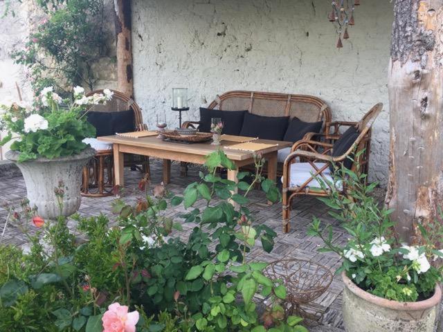Chez Brown Bed & Breakfast Saint-Thomas-de-Conac Ngoại thất bức ảnh